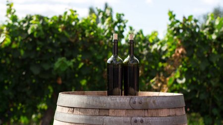 Take part in events and wine tastings nearby Take part in events and wine tastings nearby