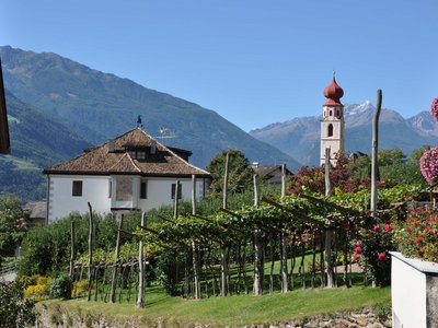 Una cantina con degustazione? Eccola per voi Una cantina con degustazione? Eccola per voi